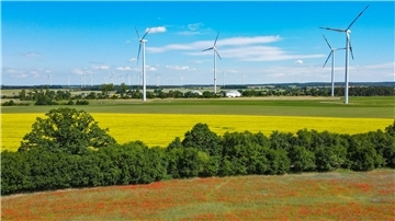Hecken dienen der Biotopvernetzung und als Lebensraum. In der weitgehend ausgeräumten Landschaft vor den Torens Zevens sollen neue Hecken an Wegesrändern einen Beitrag zur Artenvielfalt leisten.