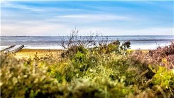 Heide, Meer und Watt: In unserer Region gibt es viele Naturschönheiten.