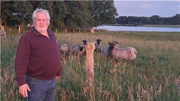 Heino Runge kümmert sich um die Heidschnucken am Wollingster See. 