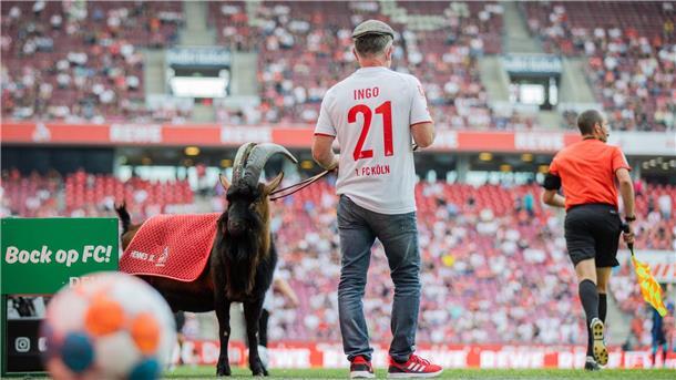 Lebende Fußball-Maskottchen: Tierleid oder Tradition? Hennes ist bereits in neunter Generation das Maskottchen beim FC.
