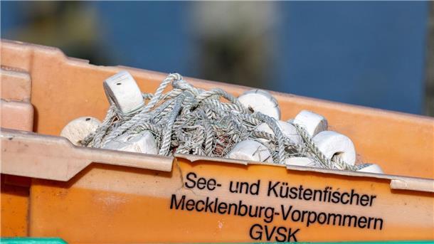 Ostseefischer dürfen 2025 weiter Hering fangen Heringe dürfen unter bestimmten Bedingungen beispielsweise mit Reusen auch kommendes Jahr gefangen werden.