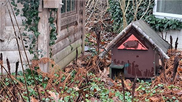Tier des Jahres 2024: Lunestedter gibt Tipps für das kleine Igel-Paradies Hermann Kück hat dem Igel ein kleines Haus auf seinem Grundstück gebaut.
