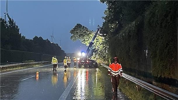 Hier droht ein Baum auf die A27 zu stürzen.