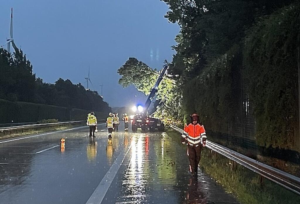 Hier droht ein Baum auf die A27 zu stürzen.