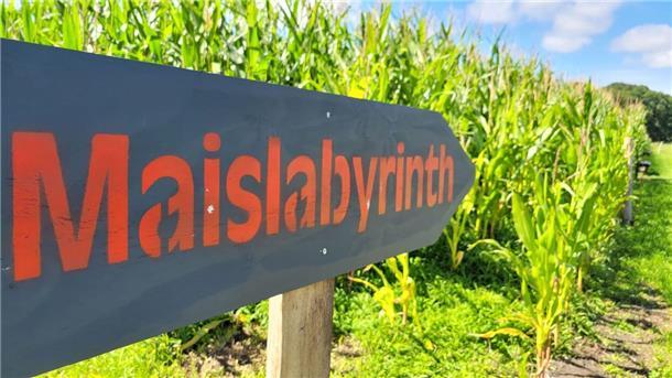 Maislabyrinth der Familie Roßmann