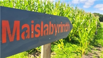 Maislabyrinth der Familie Roßmann