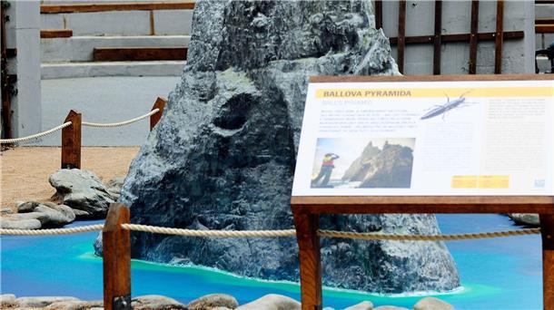 Hier im Prager Zoo leben neuerdings Baumhummer.