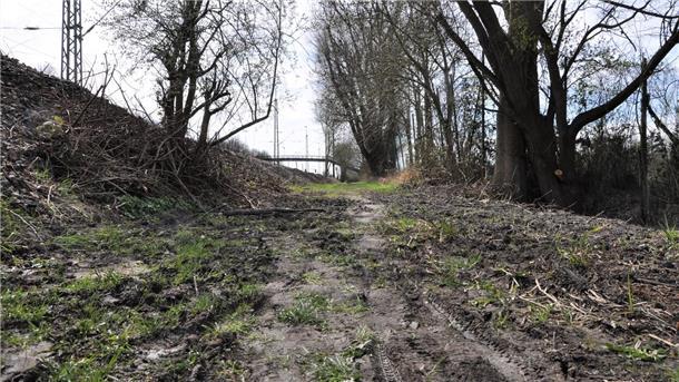 Hier kommt kein Radler mehr durch und Fußgänger nur, wenn sie sich die Schuhe so richtig dreckig machen. Seit Wochen sieht es am Bahndamm zwischen Müllerstraße und ESV-Heim so aus.