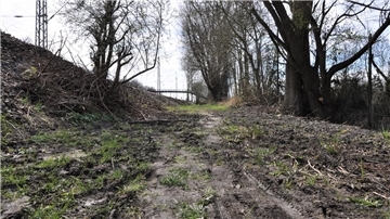 Hier kommt kein Radler mehr durch und Fußgänger nur, wenn sie sich die Schuhe so richtig dreckig machen. Seit Wochen sieht es am Bahndamm zwischen Müllerstraße und ESV-Heim so aus.