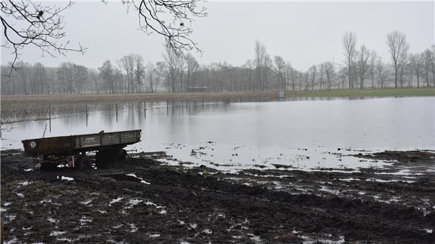 Das Foto zeigt eine überschwemmte Weide. 
