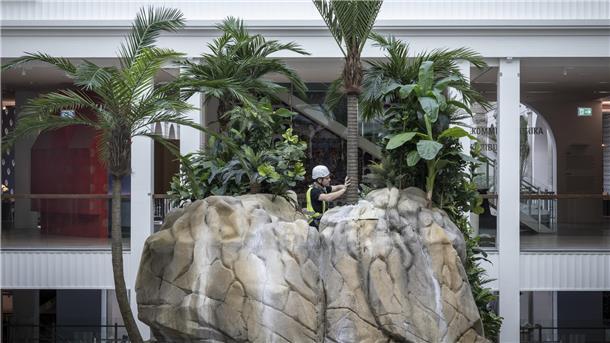 Aufbau der neuen Dauerausstellung im Übersee-Museum Bremen.