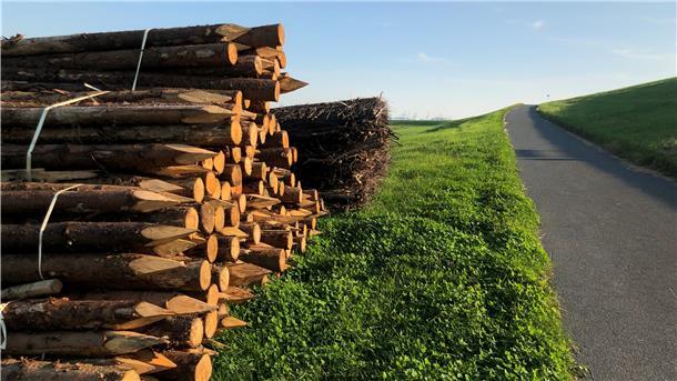 Hinter dem Deich kurz vor Wremen sind Pfähle und Holzmatten gelagert. Mit dem Material wird der Küstenschutz gepflegt.