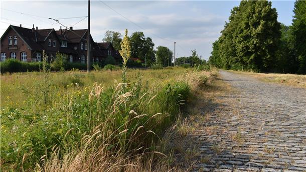 Hinter dem Rodenkircher Bahnhof im Bereich der Ladestraße gibt es noch immer Schäden, die nicht reguliert worden sind. Foto: Schnieder