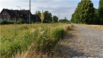 Hinter dem Rodenkircher Bahnhof im Bereich der Ladestraße gibt es noch immer Schäden, die nicht reguliert worden sind. Foto: Schnieder