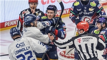 Hitziges Spiel zwischen den Eisbären Berlin und den Straubing Tigers.