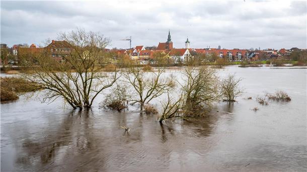 Tausende Adressen in Niedersachsen hochwasserbedroht Hochwasser hat die Aller vor der Altstadt von Verden über die Ufer treten lassen.
