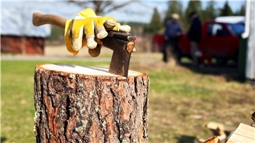 Holz selbst zu hacken, ist deutlich günstiger, Experten raten aber doch zum Holzspalter.