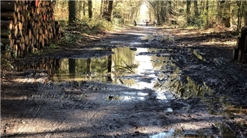 Nordholz