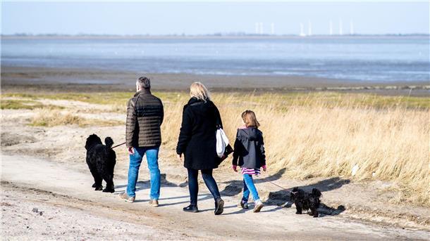 Hunde bereiten manchen Familien viel Freude, aber auch Arbeit.