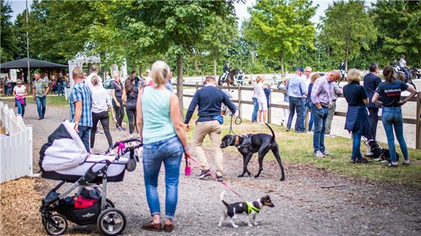 Besucher mit Hunden an der Leine