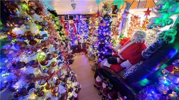 Weltrekord-Wahnsinn: 100 neue Rekorde in Deutschland anerkannt Hunderte Weihnachtsbäume finden in einem Haus in Niedersachsen Platz (Archivbild).