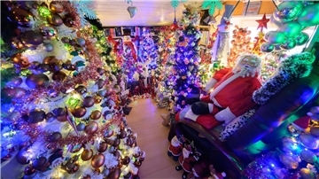 Hunderte Weihnachtsbäume finden in einem Haus in Niedersachsen Platz (Archivbild).