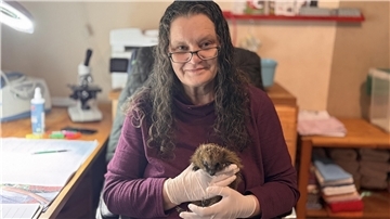 Igelretterin Heike Runge hält einen Igel in der Hand.
