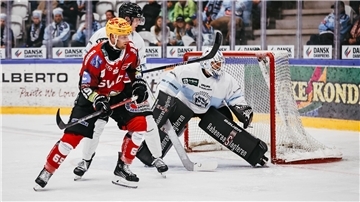 Im August verloren die Fischtown Pinguins ein Testspiel gegen SønderjyskE Vojens.