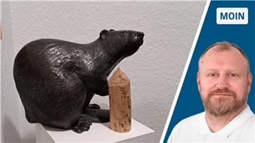 Im Beverstedter Rathaus hat es sich ein Biber gemütlich gemacht. 