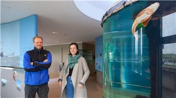 Im Büro sind Saskia Stöwing und Gerke Rademacher eher selten anzutreffen. Oft findet man die beiden auf Netzwerktour irgendwo in der Gemeinde – wie hier im Nationalpark-Haus in Dorum-Neufeld.