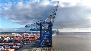 Containerbrücken am Terminal.
