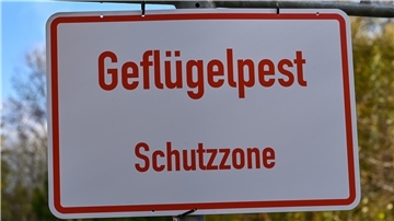 Ein Schild mit der Aufschrift «Geflügelpest Schutzzone». 