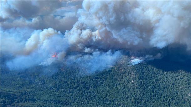 Menschenleere Städte: Kanada kämpft gegen Feuer Im Gebiet bei West Kelowna, British Columbia, brennt es weiter.