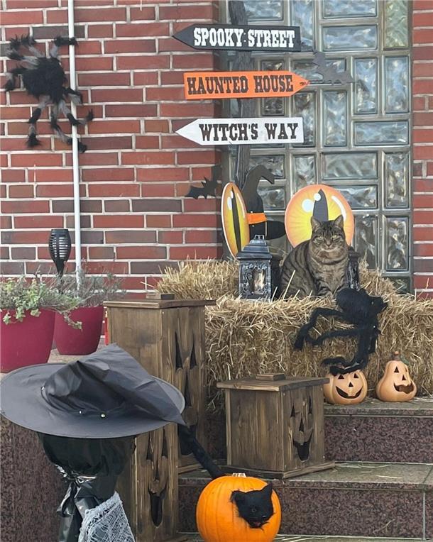 Dekoration vor der Haustür für Halloween
