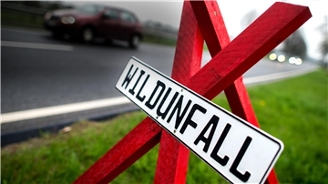 Im Herbst steigt die Zahl der Wildunfälle. Darauf macht die Polizei aufmerksam.