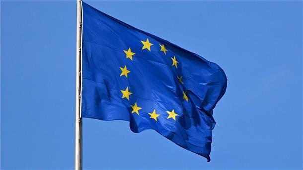 Im Juni findet die nächste Europawahl statt.