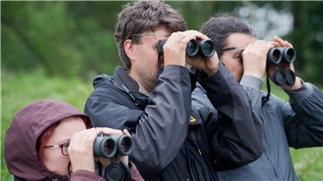 Im Nationalpark Niedersächsisches Wattenmeer werden seit 2009 jedes Jahr im Herbst die Zugvogeltage angeboten. Das Nationalparkhaus Museum Fedderwardersiel beteiligt sich diesmal mit sieben Veranstaltungen.