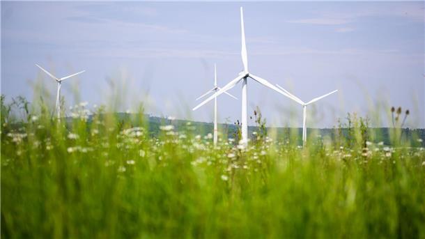 Im Norden Deutschlands wird mehr Ökostrom produziert als verbraucht, im Süden ist es umgekehrt.