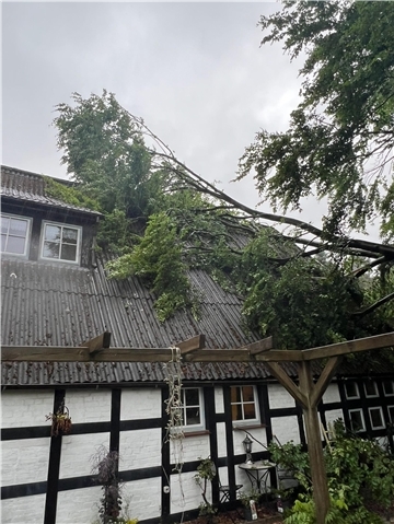 Im Ortsteil Neu Kuhstedt stürzte der Baum auf das Dach eines Wohnhauses.