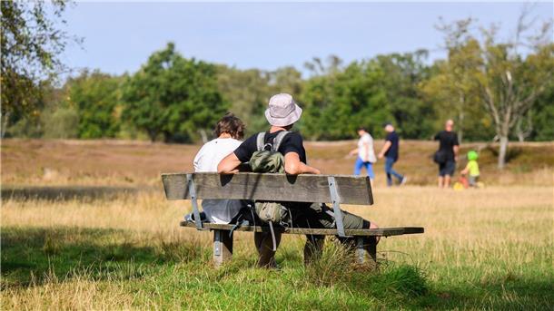 Im Pietzmoor in der Lüneburger Heide sollten Wanderer auf Schlangen achten.