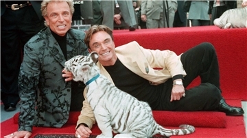 Magier-Duo Siegfried und Roy mit einem weißen Tigerbaby. 
