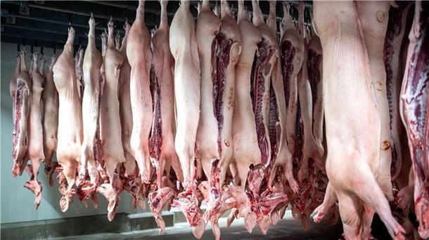 Im Streit um die Veröffentlichung heimlich gemachter Aufnahmen aus einem Schlachthof rufen Tierschützer die nächste Instanz an. (Archivfoto)