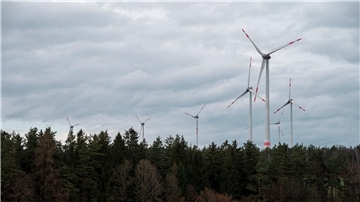 Im Süden Niedersachsens sollen Waldflächen für Windräder geöffnet werden, wie hier in Bayern. (Archivbild)