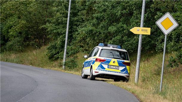 Löwen-Alarm in Brandenburg - Großfahndung nach Raubkatze Im Süden von Berlin wurde ein Raubtier gesichtet - höchstwahrscheinlich eine Löwin.