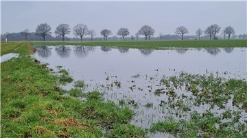 Wiese unter Wasser