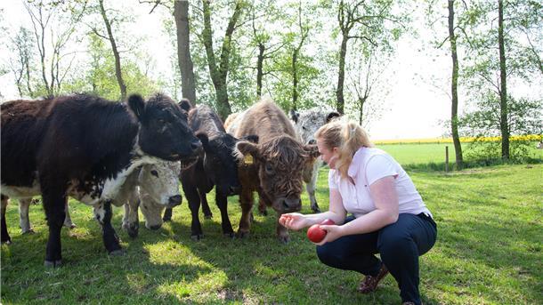 Cuxländer wollen Lebensmittelmarkt revolutionieren - das ist daraus geworden Galloways Otterndorf Hjördis Plate