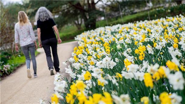 Im vergangenen Jahr verzeichnete der Park der Gärten einen Besucherrekord. 