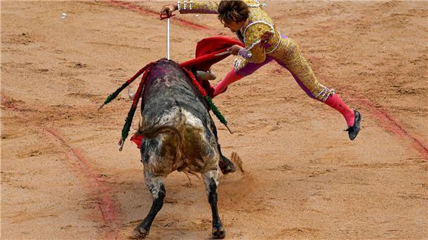 Solidarität mit Palästinensern bei Sanfermín-Fest in Spanien Im Verlauf des neuntätigen San Fermín-Festes in Pamplona werden 48 Bullen getötet.
