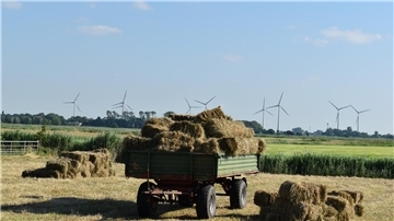 Im Zuge des geplanten Repowering im Windpark Schütting kann die Gemeinde womöglich eine eigene Anlage betreiben. Unter anderem das wird aktuell geprüft.
