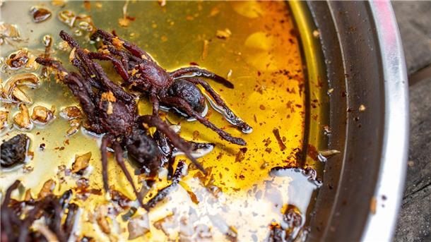Vogelspinne gefällig? Gebratene Achtbeiner als Snack Im Zuge des Klimawandels ist das Essen von Insekten und Spinnen Experten zufolge eine gute Alternative zu den hohen CO2-Emissionen der Fleischproduktion.